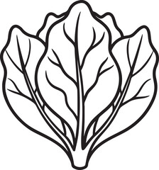spinach line art, black outline, vector and illustration, line art and outline