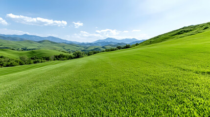 Rolling green hills, mountain backdrop, sunny day, landscape photography for travel brochures