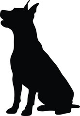 American Staffordshire Terrier, Silhouette