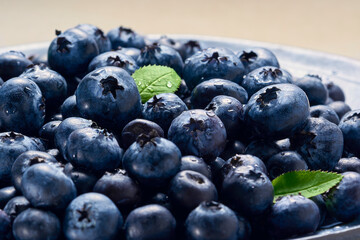 Macro shot of beautiful fresh blueberries in a ceramic plate. Studio shot, soft like, close up              