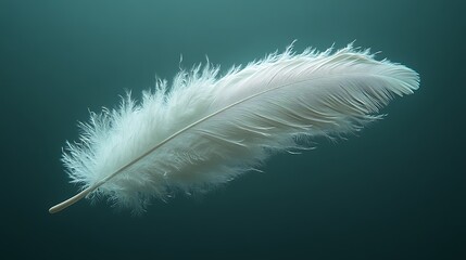 Tranquil and calming minimalist feather floating effortlessly in the air