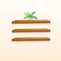 3D realistic Wooden shelves design vector. Empty wood shelves illustration design with an indoor plant on the shelves. Wooden rack art. 