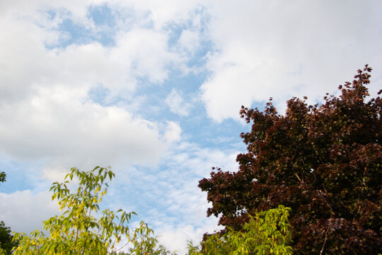 Summer clouds