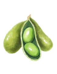Edamameisolated on transparent background
