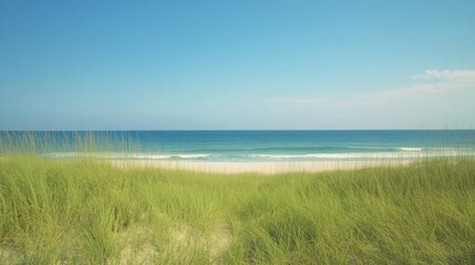 Calm beach scene with vibrant green grass and clear blue ocean u
