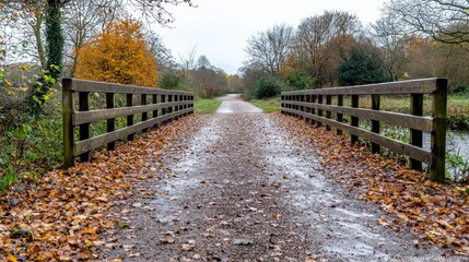 Fototapeta premium Autumnal canal towpath bridge, leaves, trees