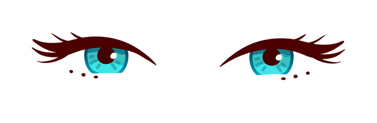 Vector illustration of female eyes with makeup