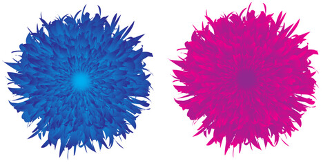 Isolated elements can be usedfor various design projects such as cards, logos, patterns, and more. Two flowers closeup.