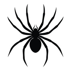 black spider on white background