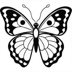 Peacock butterfly in front of a white background 