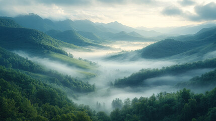 Soft morning fog rolling over a tranquil valley under pale sunlight
