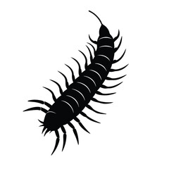 Bug Caterpillar Hairy Vector illustration silhouette isolated on a white background