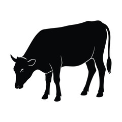 silhouette of a cow isolated on a white background