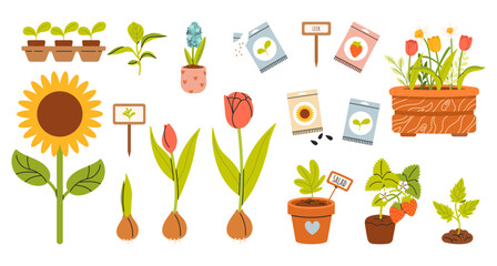 Set of different plants in hand drawn style, seedlings, sprouts sprouting for planting. Spring  work in the garden, flowers, tulips, sunflower, strawberry. Vector illustrations isolated on white 