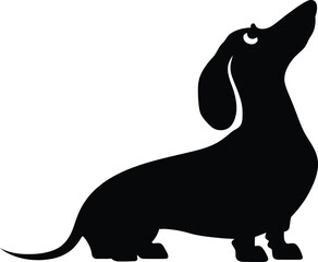 Dachshund dog Silhouette