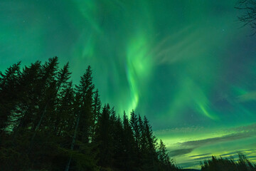 Majestic Green Aurora Borealis Dancing Over a Snowy Landscape