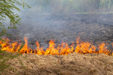 fire in a field, fire spreading through dry grass and vegetation, with visible flames and smoke