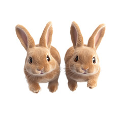 Fototapeta premium Two adorable brown bunnies in motion, running side by side against a clean white background, symbolizing energy and playfulness