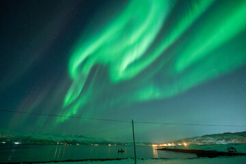 Majestic Aurora Borealis Dancing Over a Snowy Landscape