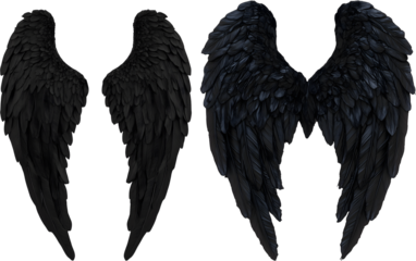 black wings isolated on white