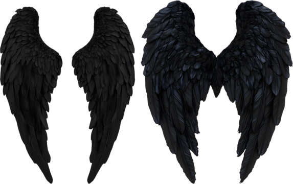 black wings isolated on white