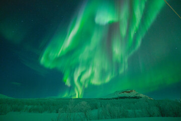 Majestic Aurora Borealis Dancing Over a Snowy Landscape