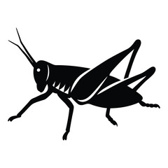 grasshopper silhouette isolated on a white background