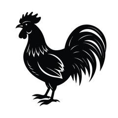 rooster silhouette isolated on white background
