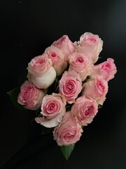 bouquet of pink roses