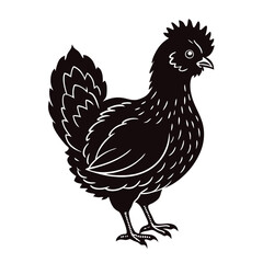 silkis vector illustration