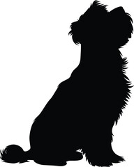 Maltese dog  Silhouette