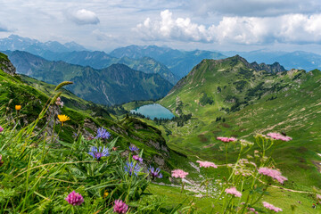 Scenic view of a mountain lake surrounded by flowers in the Allgau Alps near Oberstdorf