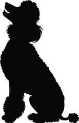 Poodle dog Silhouette