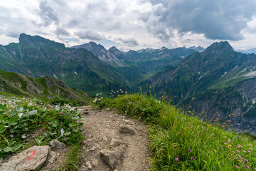 Bavarian mountain landscape with hiking trail and blooming flowers in the Alps