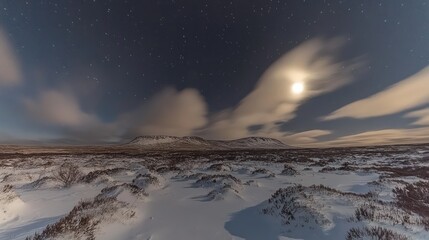 Snow covered landscape under a starry night sky