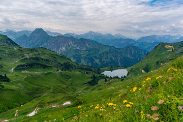 Mountain landscape with flowers at Laufbacher Eck in the Allgau Alps near Oberstdorf Bavaria