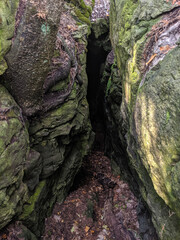 A crevice or cave leading into the mossy rock of the Niagara Escarpment during summer