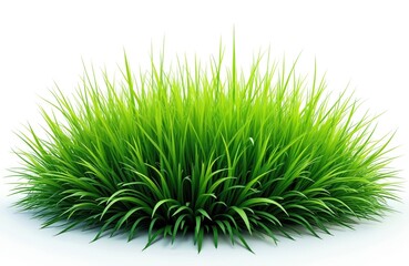Rich green grass patch rendered on transparent backdrop. Grass blades with realistic texture for natural lawn, meadow design elements. Fresh spring growth, landscaping, park, garden decor,