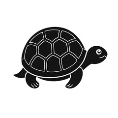 turtle vector illustration