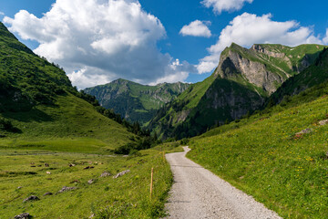 Lush alpine landscape with winding gravel path in the Bavarian Allgau Alps on a sunny day