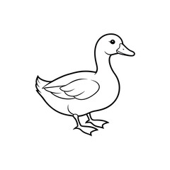 duck vector illustration