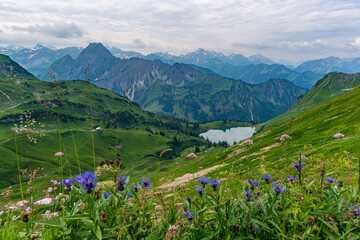 Majestic alpine landscape with vibrant wildflowers and serene lake near Oberstdorf Nebelhorn