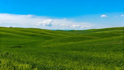 Fototapeta premium Rolling green hills under a bright blue sky peace
