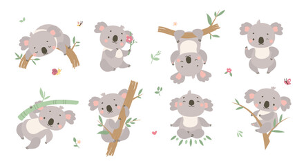 Cartoon koala. Australian animals, koalas in different poses. Positive funny animal hang on tree, sleeping and meditating. Cute nowaday vector characters © MicroOne