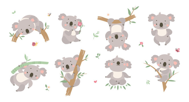 Cartoon koala. Australian animals, koalas in different poses. Positive funny animal hang on tree, sleeping and meditating. Cute nowaday vector characters