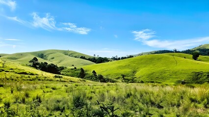 Rolling green hills under a bright blue sky peace