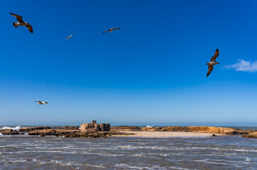Views around Essaouira a port town in Morocco 