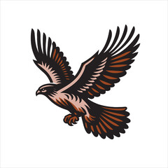 Fototapeta premium Red tail hawk vector, flying, set hawak