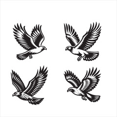 Fototapeta premium Red tail hawk vector, flying, set hawak