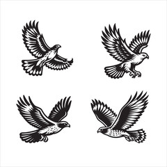 Red tail hawk vector, flying, set hawak